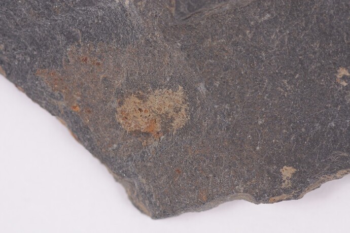 PF 3 Detail Kleber