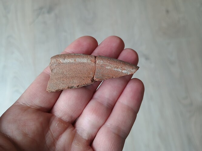 IMG_20250603_111420736