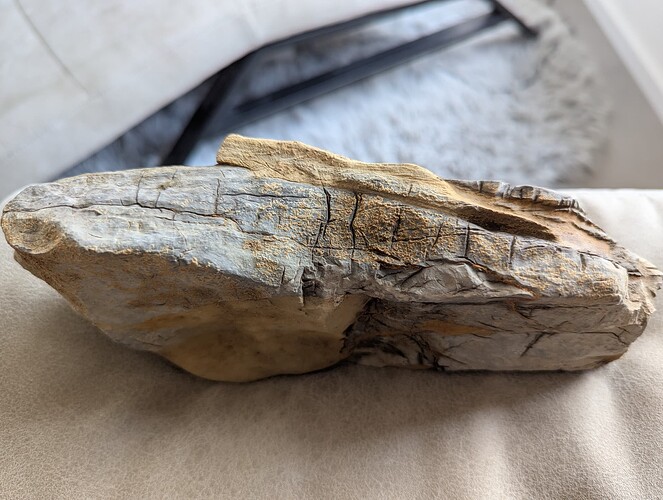 PXL_20260228_132631652