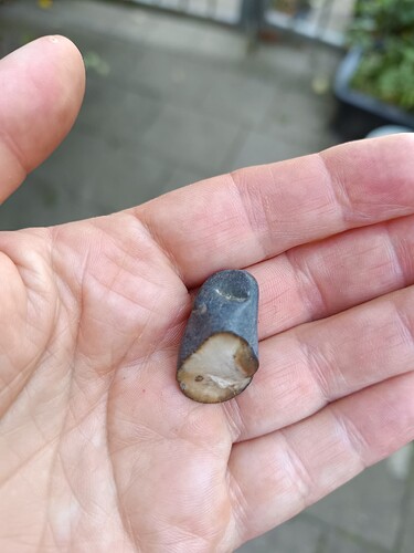 IMG_20250811_120456 (1)