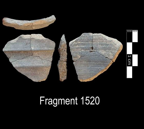 Fragment 1520