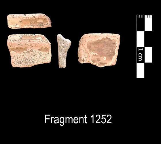 Fragment 1252