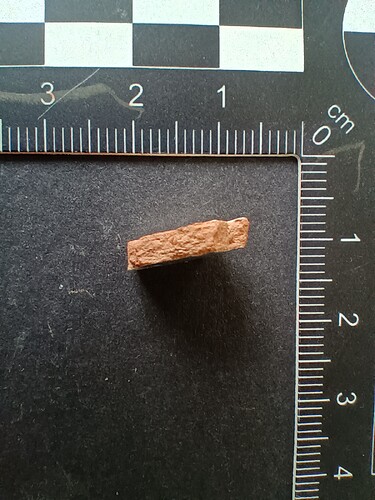 IMG_20251114_081007670_HDR