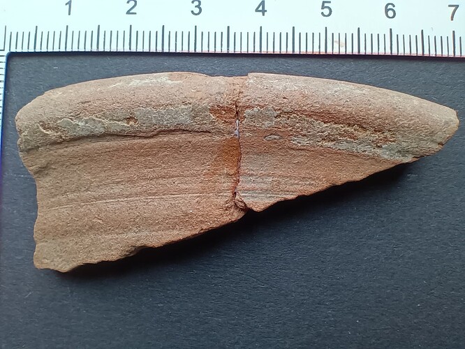 IMG_20250603_101620576~2