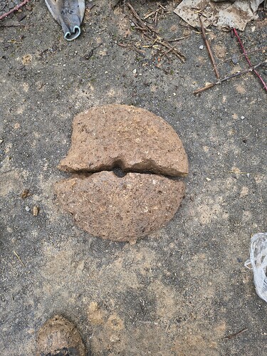 IMG_20260218_131310959_HDR