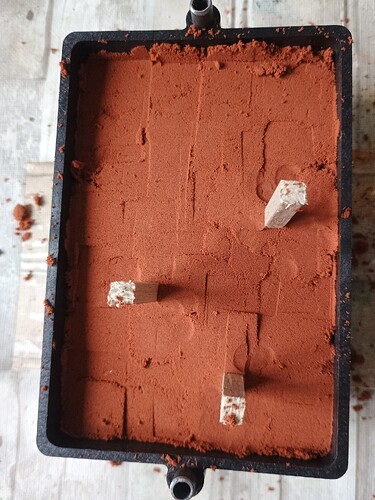 IMG_20260205_090637943