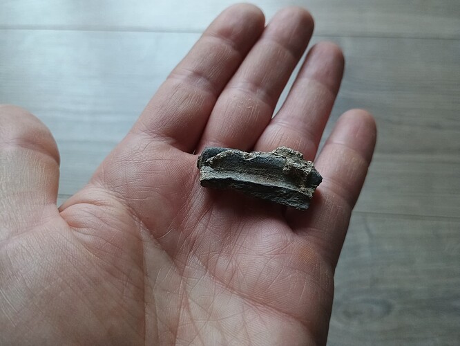 IMG_20251106_080821970