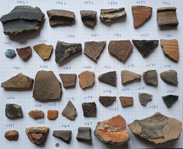 IMG_20251106_103234057~2