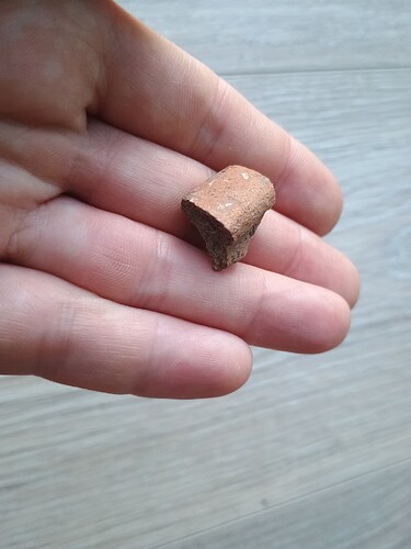 IMG_20250630_202247868~2