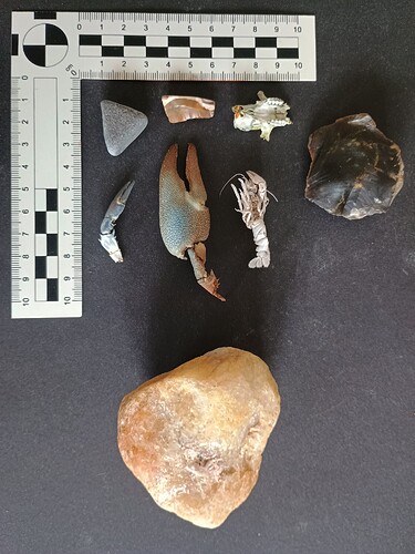 IMG_20250901_142208415_HDR