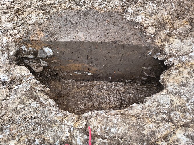 IMG_20260212_122853421