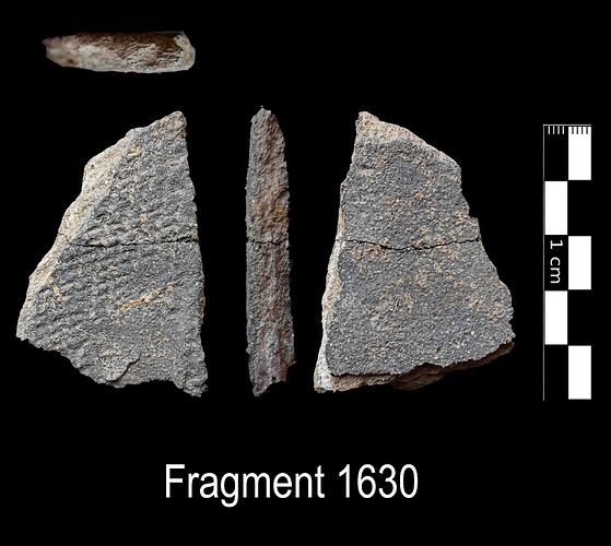 Fragment 1630
