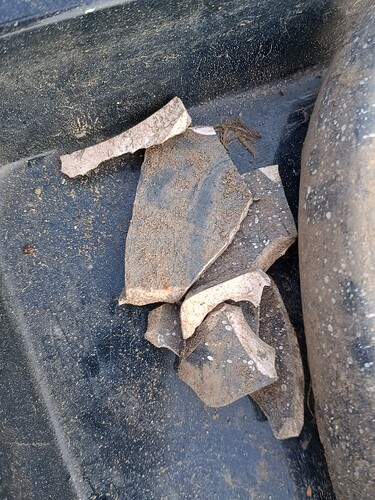 IMG_20260308_171752426_HDR