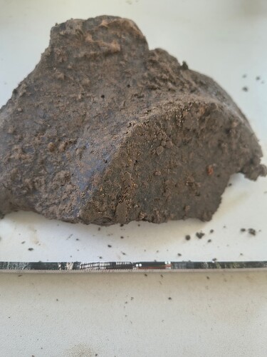 IMG_20260304_132622820_HDR