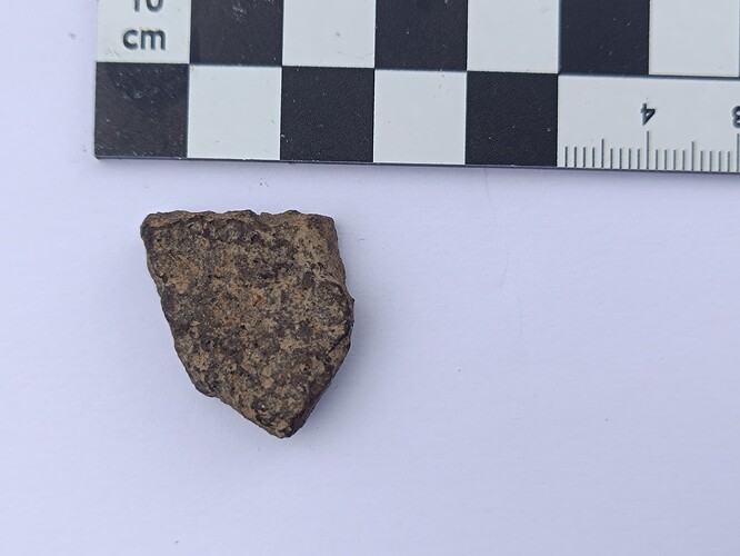 IMG_20251116_110511_1