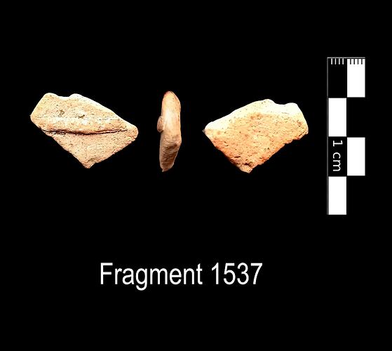 Fragment 1537