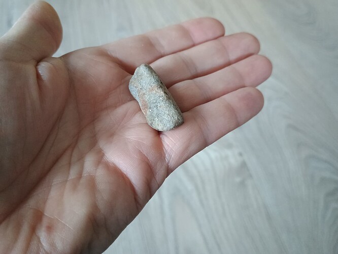 IMG_20251120_090442178