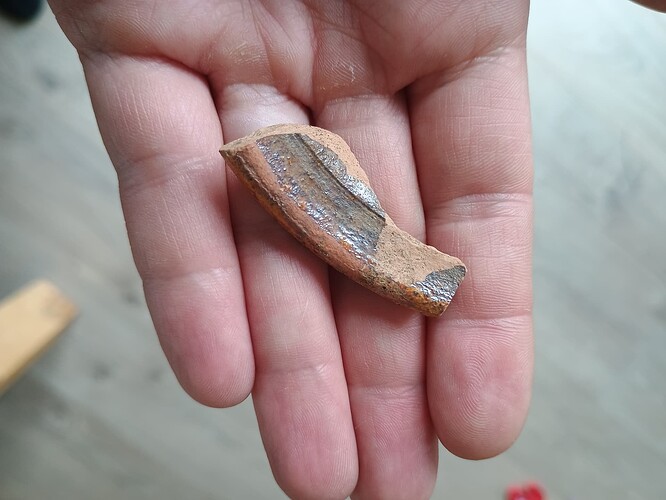 IMG_20250603_111556933