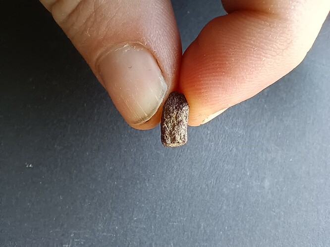 IMG_20250702_112604455