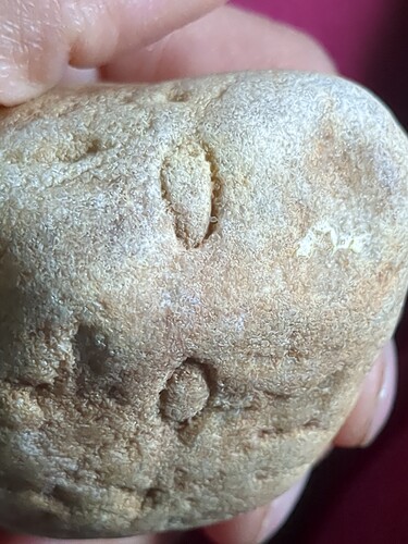 IMG_20250913_083916_830