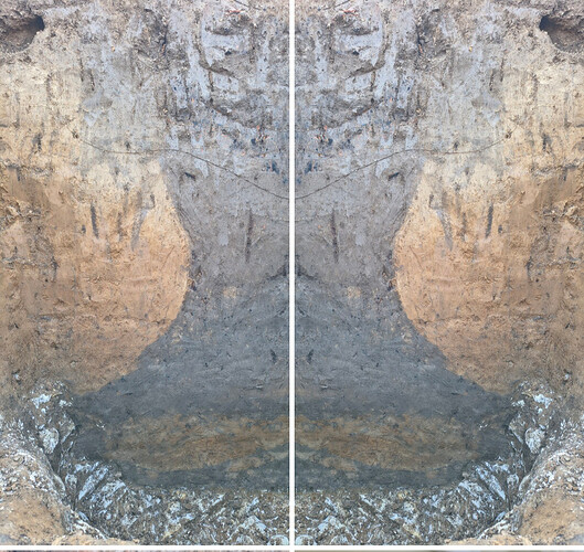 Screenshot_20260304-195550_Fotos