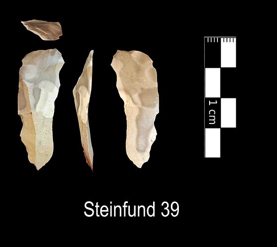 Steinfund 39