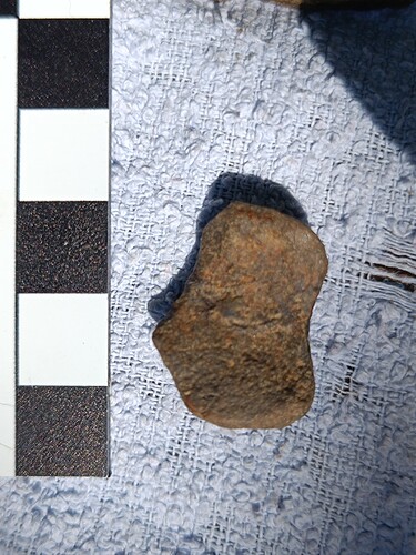 IMG_20250831_132611 (1)