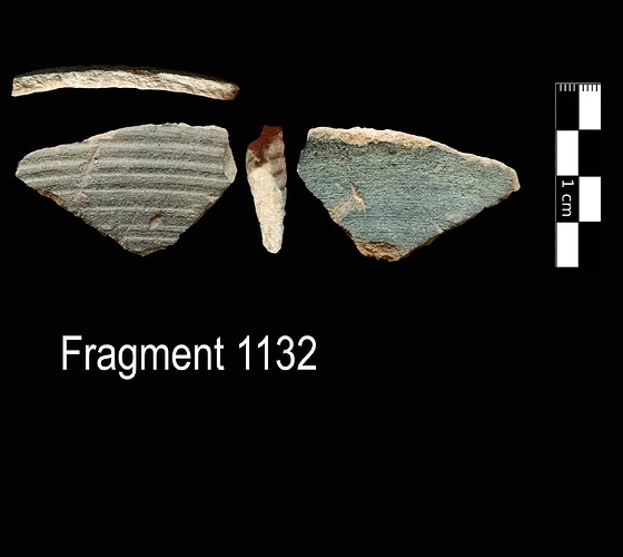 Fragment 1132