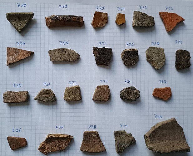 IMG_20250311_074116330~2