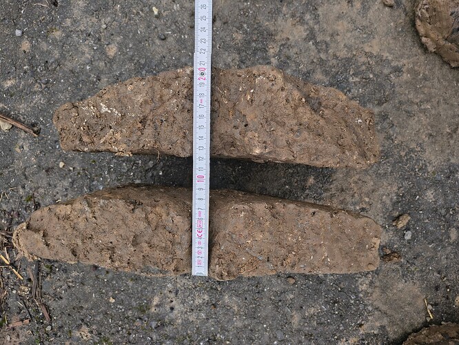 IMG_20260218_131539711_HDR