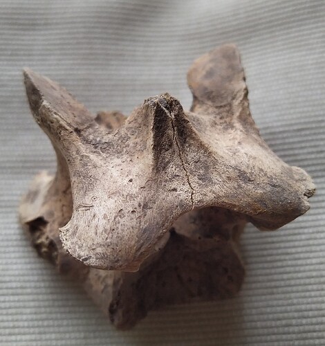 IMG_20250707_141831~2