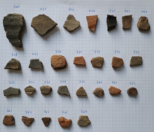 IMG_20250311_074628140~2