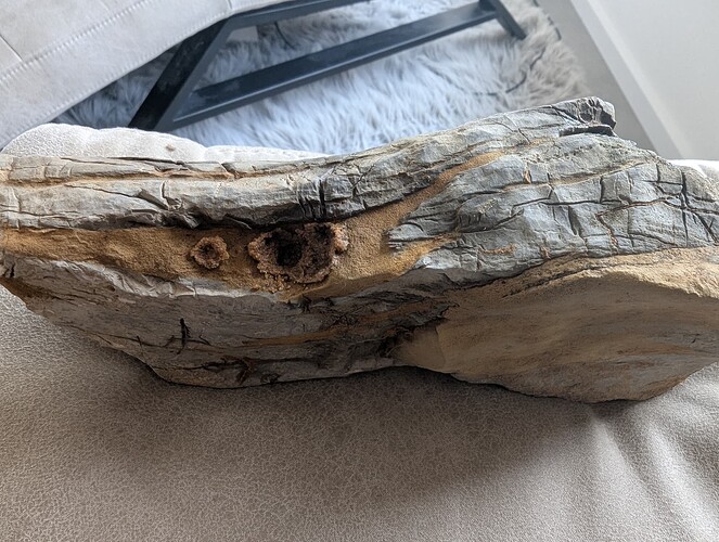 PXL_20260228_132646842