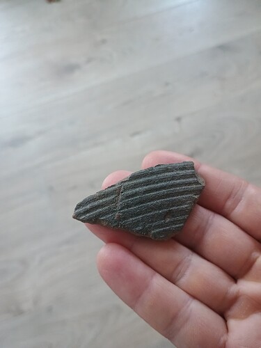 IMG_20251015_103050251