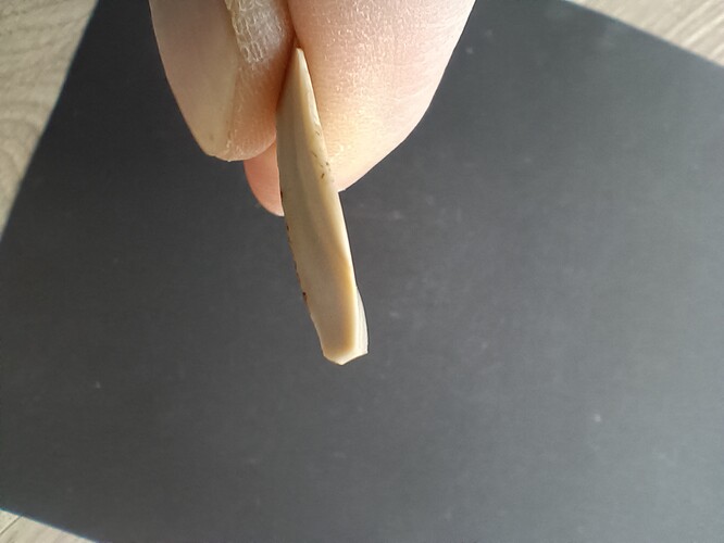 IMG_20251205_134835005