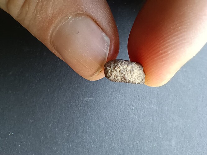 IMG_20250702_112555961