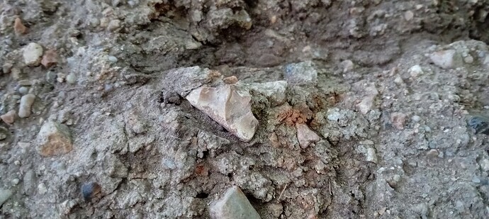 IMG_20250512_205851
