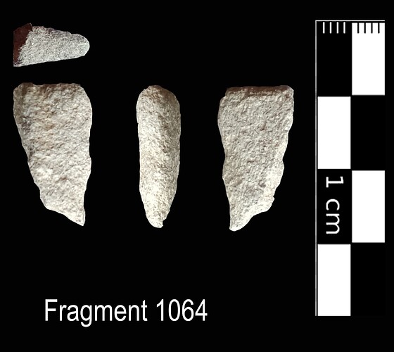 Fragment 1064
