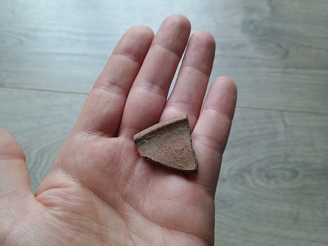 IMG_20251106_080805384