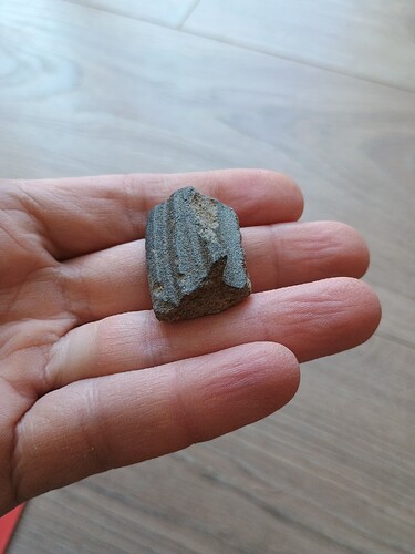 IMG_20250305_090754681