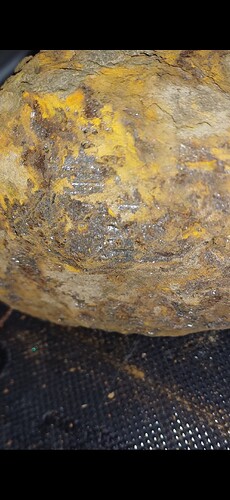 Screenshot_20250829_173234_Gallery