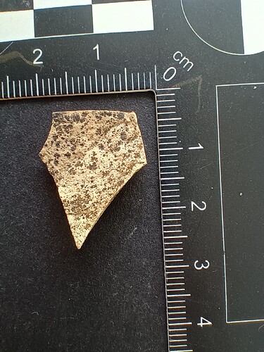 IMG_20251114_094849109_HDR