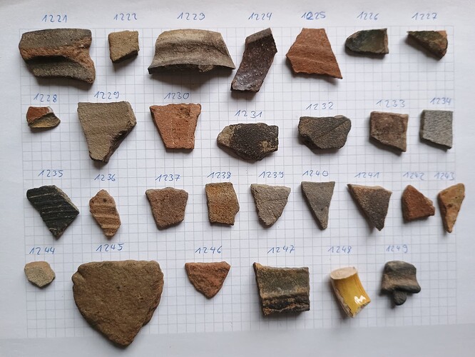 IMG_20251217_115524664~2