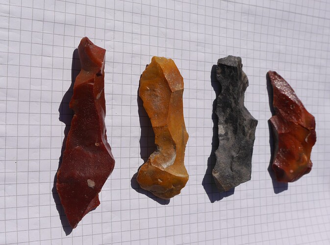 Raspeln_verschiedene_Kieselschiefer_und_Flint_Fundstelle_Meinen_Godensholter_Tief_Auswertung_u.Foto_Butmir_58_CC_BY-NC-SA_4.0