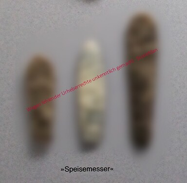 Speisemesser Text: ALM Schloss Gottorf