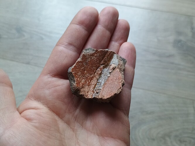 IMG_20251106_080754000