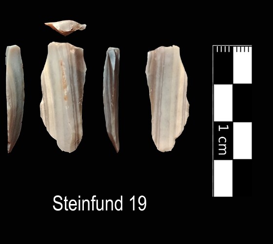 Steinfund 19
