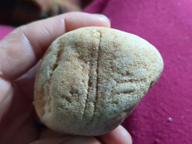 IMG_20250913_083258_998