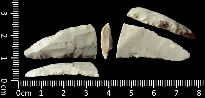 Sichelfragment