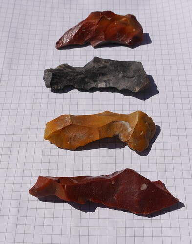 Raspeln_verschiedene_Kieselschiefer_und_Flint_Fundstelle_Meinen_Edewecht_Godensholter_Tief_Foto_u.Auswertung_Butmir_58_CC_BY-NC-SA_4.0